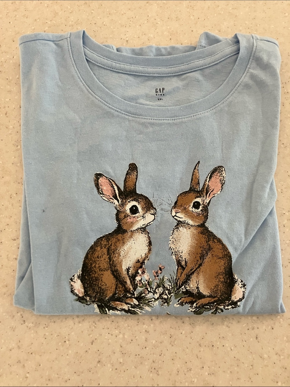 NWOT GAP Kids Pastel Blue Crewneck Graphic Tee with Twin Bunny Illustration